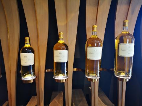 Ophorus Tours - Château d’Yquem Private Tour & Tasting from Bordeaux - Initiation
