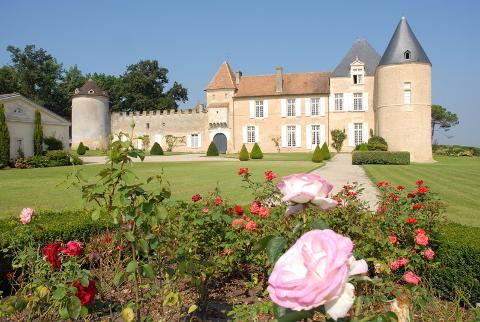 Ophorus Tours - Château d’Yquem Private Tour & Tasting from Bordeaux - Initiation