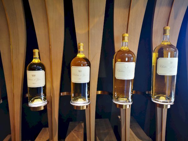 Ophorus Tours - Château d'Yquem Visit & Wine Tasting - Trilogy Tour