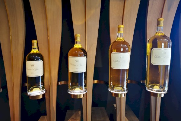 Ophorus Tours - Château d'Yquem Visit & Wine Tasting - Trilogy Tour