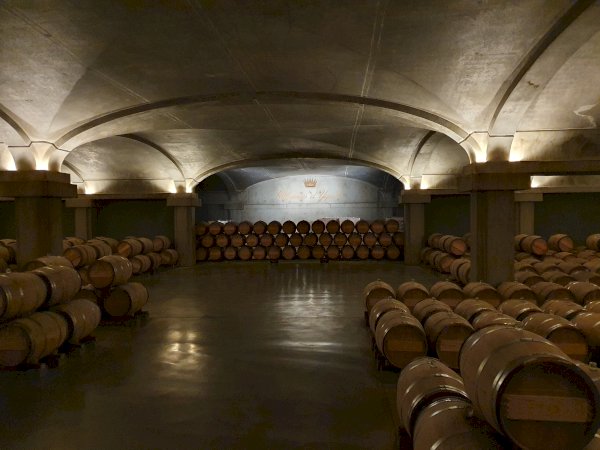 Ophorus Tours - Château d'Yquem Visit & Wine Tasting - Trilogy Tour