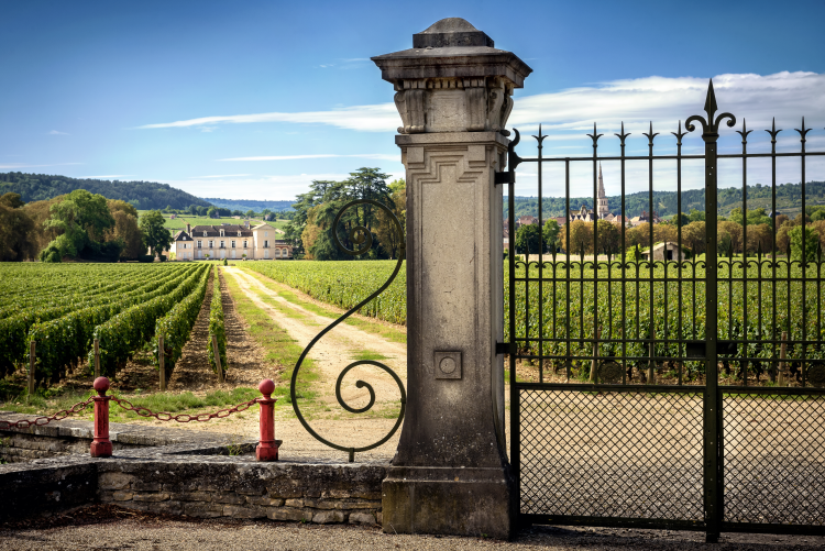 Ophorus Tours - Côte de Beaune & Côte de Nuits Private Tour from Dijon for 2