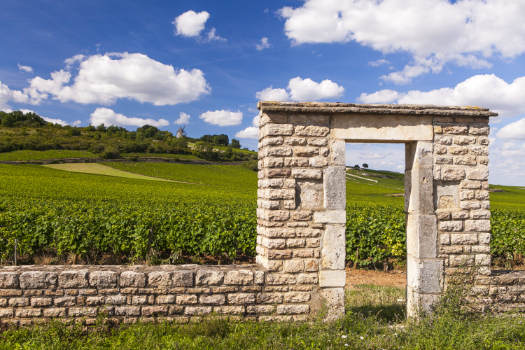 Ophorus Tours - Côte de Beaune & Côte de Nuits Private Tour from Dijon for 2