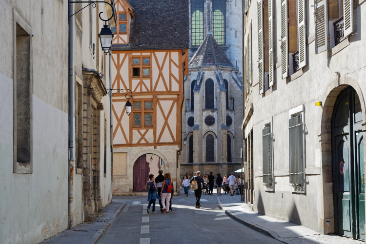 Ophorus Tours - Côte de Beaune & Côte de Nuits Private Tour from Dijon for 2