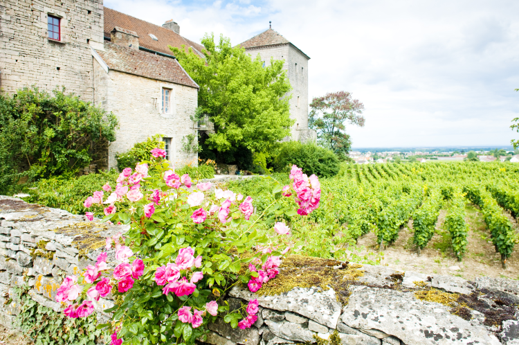Ophorus Tours - Côte de Beaune & Côte de Nuits Private Tour from Dijon for 2