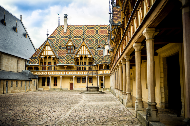 Ophorus Tours - Côte de Beaune & Côte de Nuits Private Tour from Dijon for 2
