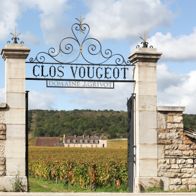 Private Cellar or Winery – Burgundy Wine Tasting