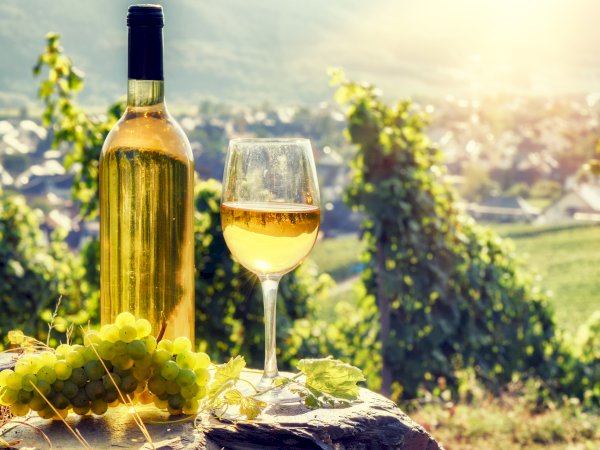 Ophorus Tours - Cross-Border Wine Tour: French Elegance & German Precision from Strasbourg