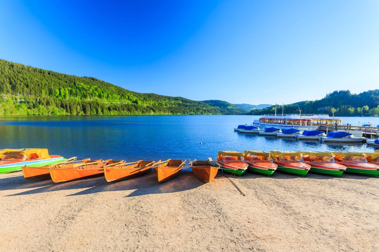 Ophorus Tours - Freiburg & Black Forest Highlights: Private Tour from Mulhouse