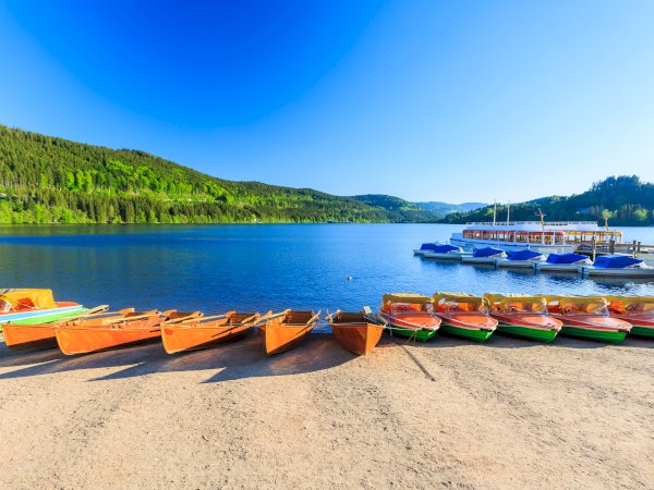Ophorus Tours - Freiburg & Black Forest Highlights: Private Tour from Mulhouse