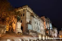 Ophorus Tours - From Lyon to Chambéry Private Transfer