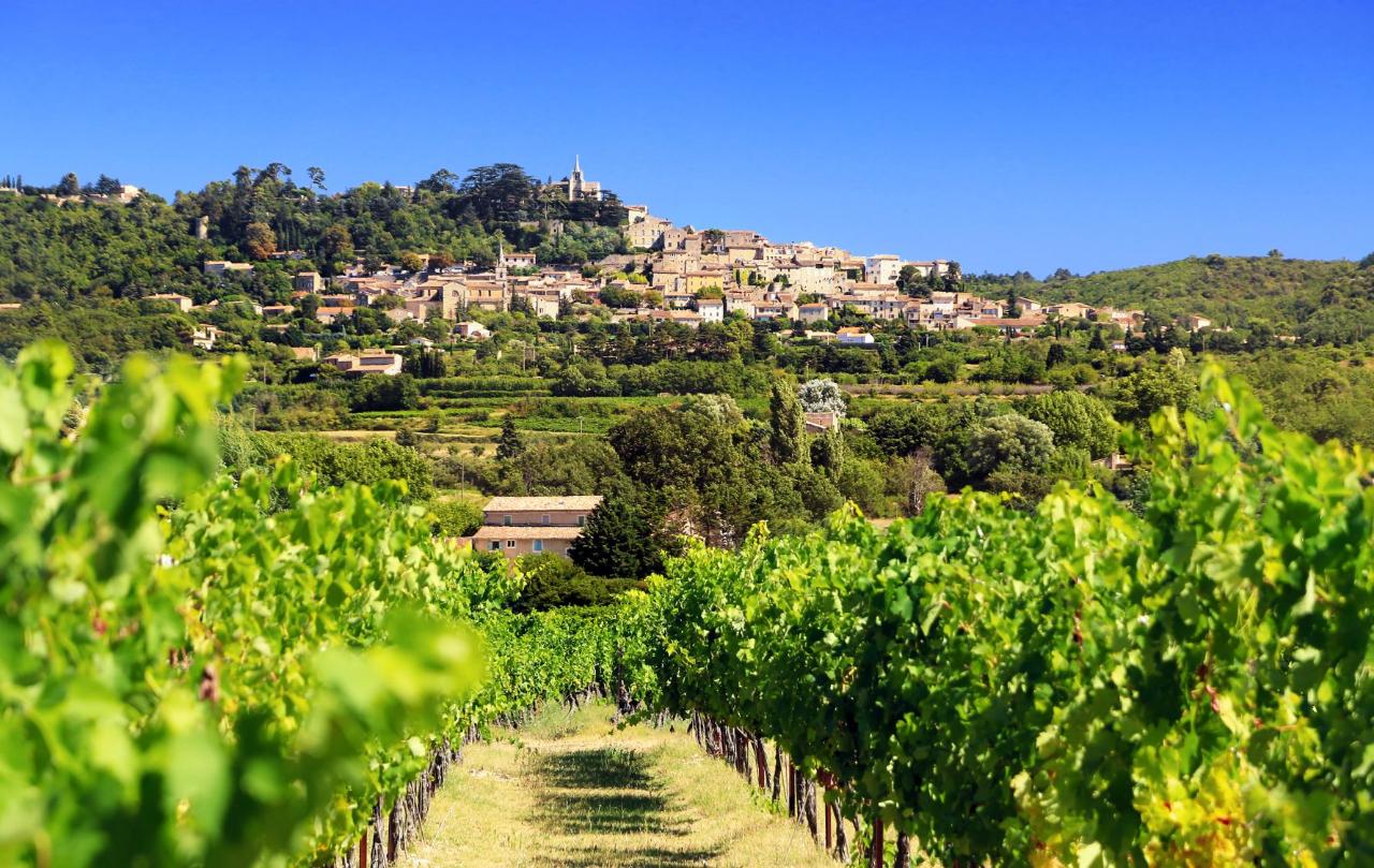 Ophorus Tours - From Saint Tropez Provence Cru Classés Wine Tour Shore Excursion private