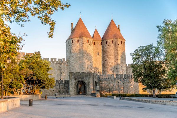 Ophorus Tours - From Sète Port to Carcassonne shore excursion private
