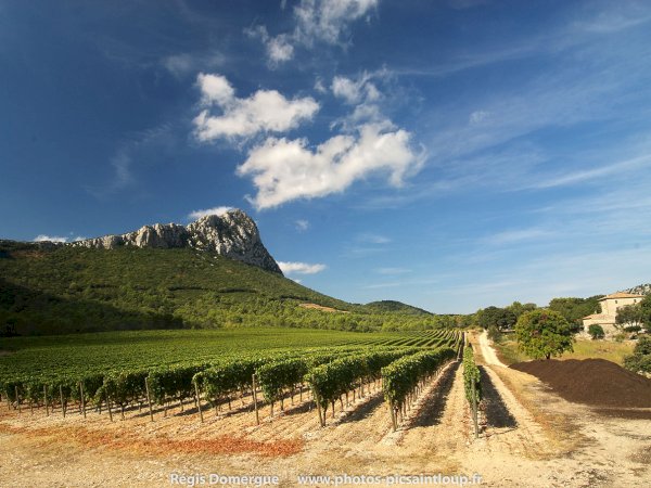Ophorus Tours - From Sète Port to Montpellier & Languedoc Wine Tour