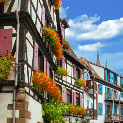 Scenic drive through Alsace, lunch