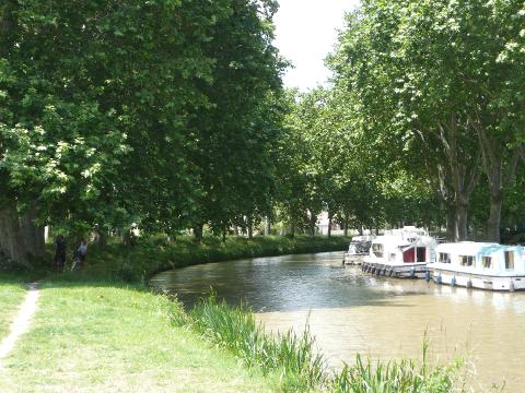 Ophorus Tours - From Toulouse to Argens Minervois Canal du Midi Private Transfer