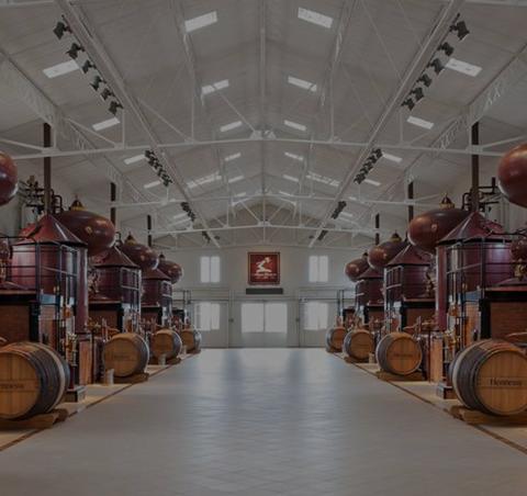 Ophorus Tours - Luxury Cognac Tasting: Hennessy X.O & Richard