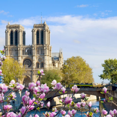 Paris Accommodation Pick-Up