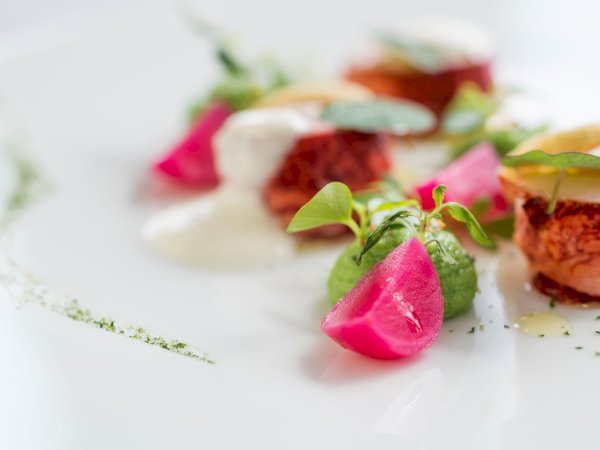 Ophorus Tours - Luxury Seine River Cruise, Fine Dining & Drinks in Paris France