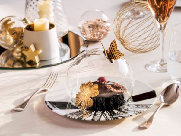 Ophorus Tours - Luxury Seine River Cruise, Fine Dining & Drinks in Paris France