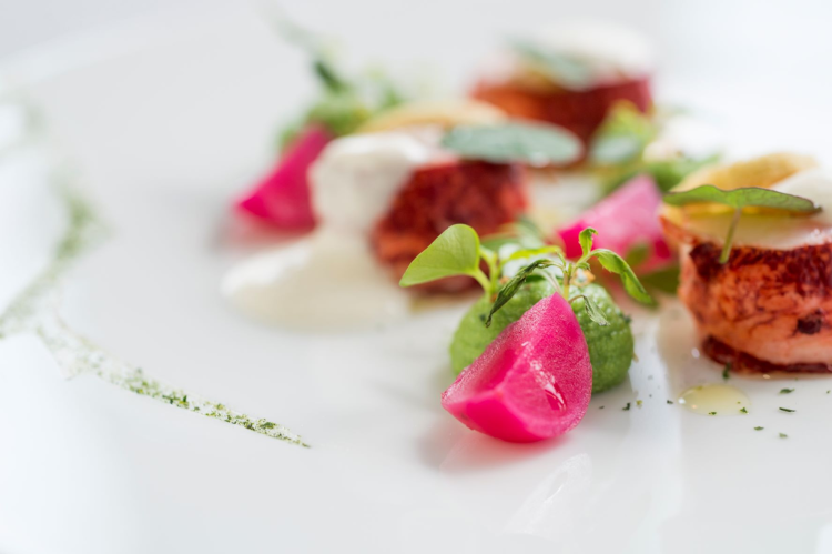 Ophorus Tours - Luxury Seine River Cruise, Fine Dining & Drinks in Paris