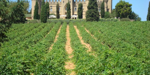 Ophorus Tours - Medieval Marvels & Chateauneuf du Pape Wines: Private Marseille Shore Trip