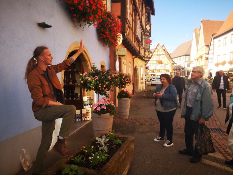 Ophorus Tours - Medieval Villages & Wine: Alsace Highlights Private Tour by train from Paris