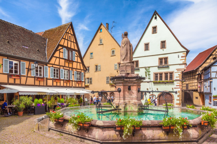 Ophorus Tours - Medieval Villages & Wine: Alsace Highlights Private Tour by train from Paris