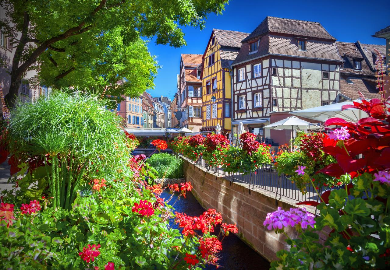 Ophorus Tours - Medieval Villages & Wine: Alsace Highlights Private Tour by train from Paris