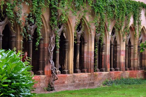 Ophorus Tours - Medieval Villages & Wine: Alsace Highlights Private Tour by train from Paris