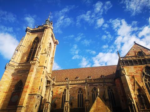 Ophorus Tours - Medieval Villages & Wine: Alsace Highlights Private Tour by train from Paris