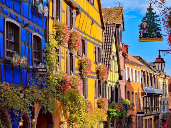 Ophorus Tours - Medieval Villages & Wine: Alsace Highlights Private Tour by train from Paris