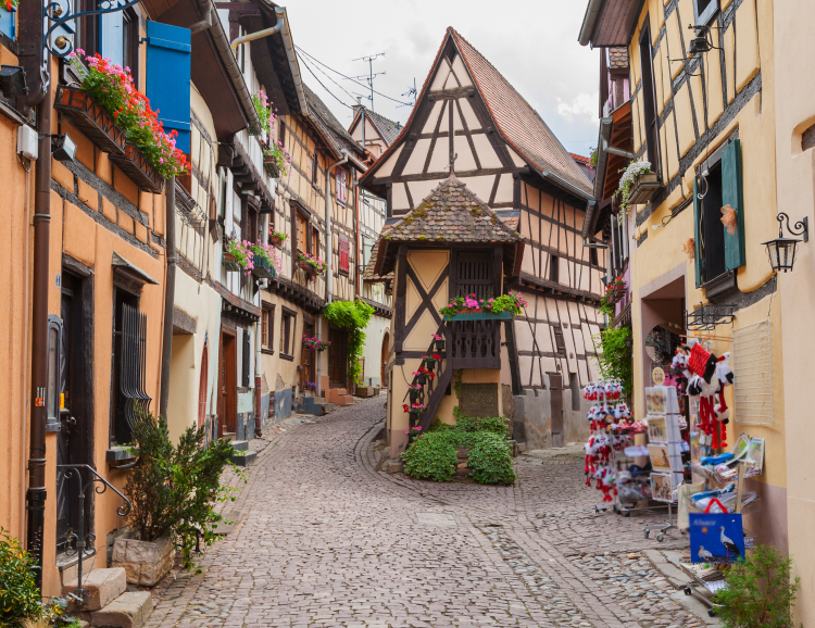 Ophorus Tours - Highlights of Alsace private day tour from Paris by train