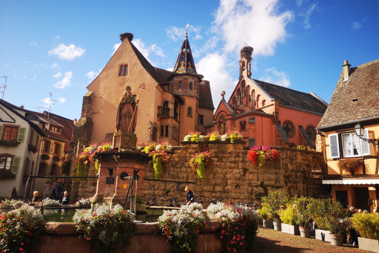 Ophorus Tours - Medieval Villages & Wine: Alsace Highlights Private Tour by train from Paris