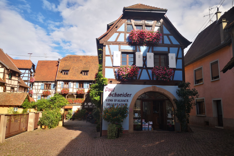 Ophorus Tours - Medieval Villages & Wine: Alsace Highlights Private Tour by train from Paris