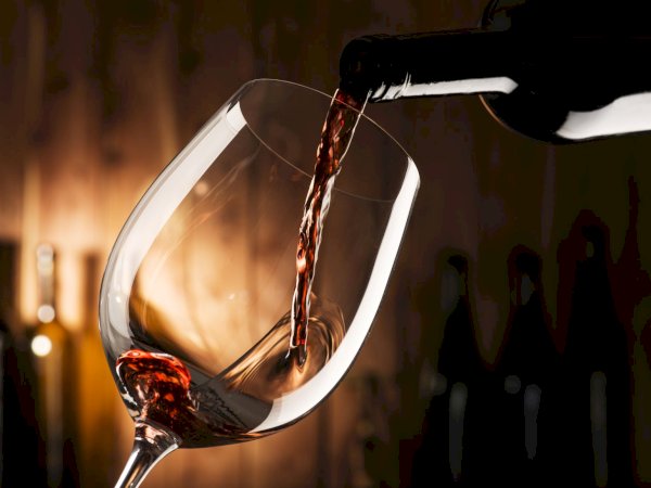 Ophorus Tours - Medoc's Wine & Culinary Delights: Private Tour with Blending & Pairing