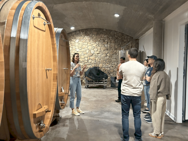 Ophorus Tours - Northern Rhône Gems: Syrah & Viognier Half-Day Tour from Lyon