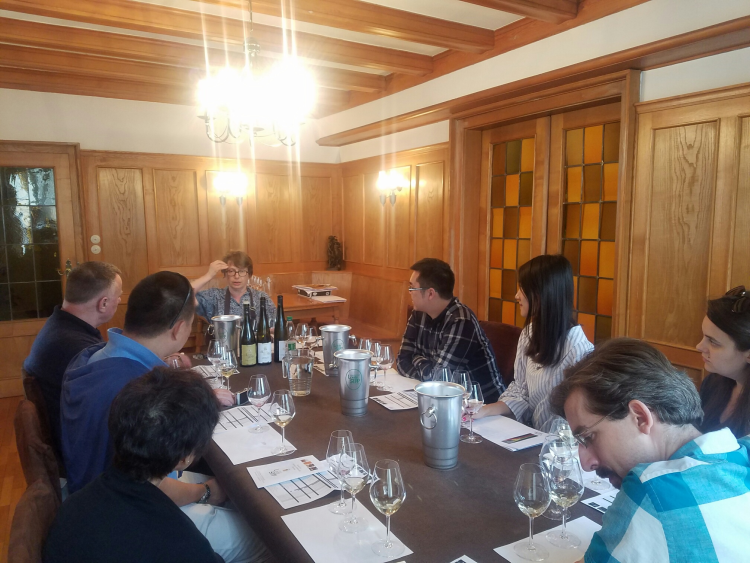Ophorus Tours - Private Wine Tour from Colmar: Taste the Wines of France and Germany