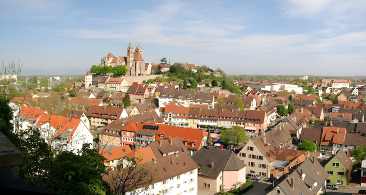 Ophorus Tours - Private Wine Tour from Colmar: Taste the Wines of France and Germany