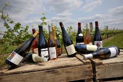 Ophorus Tours - Private Loire Valley Wine Tour – Chinon & Bourgueil for 2 From Tours