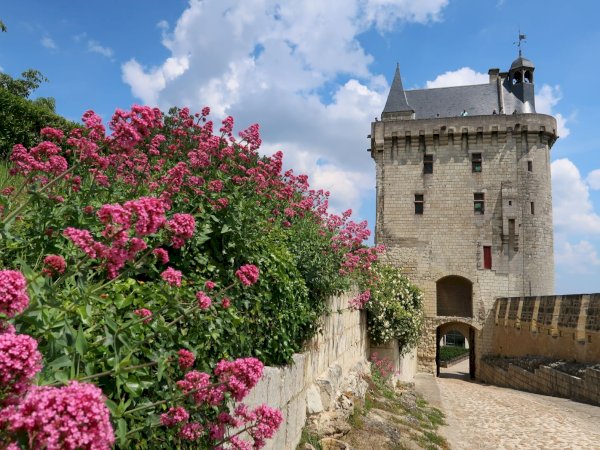 Ophorus Tours - Private Loire Valley Wine Tour – Chinon & Bourgueil for 2 From Tours