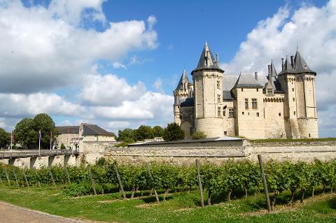 Ophorus Tours - Scenic Escape: Private Transfer from Bordeaux to Loire Valley