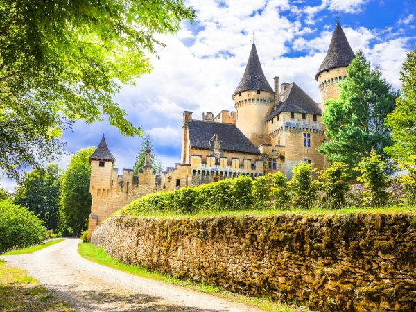Ophorus Tours - See Lascaux Cave Art: Private Half-Day Tour from Sarlat