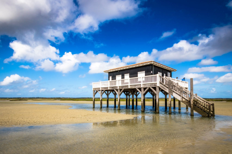 Ophorus Tours - Unforgettable 2-Hour Private Boat Tour: Explore Arcachon Bay by Pinasse