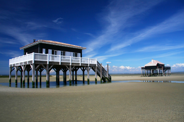 Ophorus Tours - Arcachon Bay 2-hour Boat tour on Traditional Pinasse