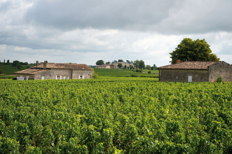 Ophorus Tours - Bordeaux wine tour private day trip from Paris by train