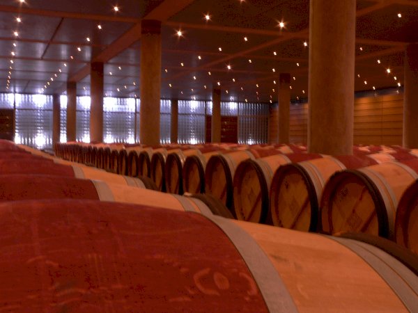 Ophorus Tours - Vineyards of Medoc: Wine Tour from Bordeaux to Le Verdon Cruise Port