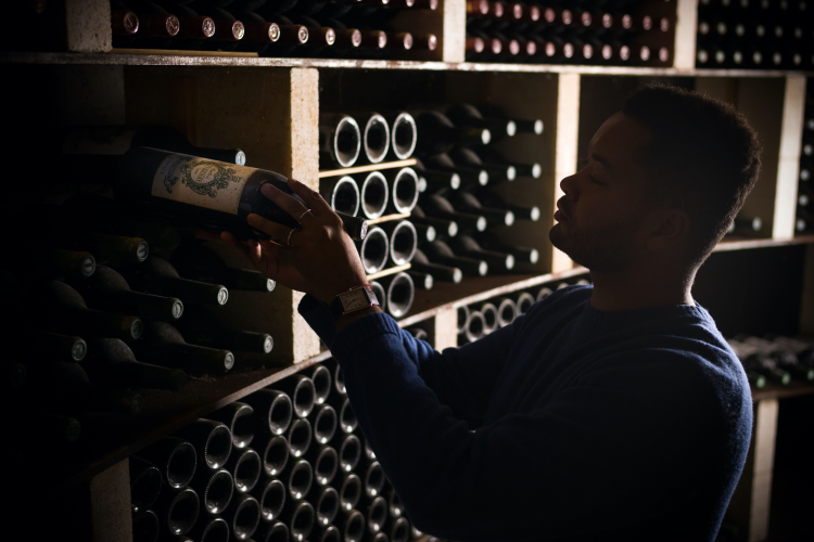 Ophorus Tours - Private Shore Trip From Bordeaux to Médoc and Le Verdon Port