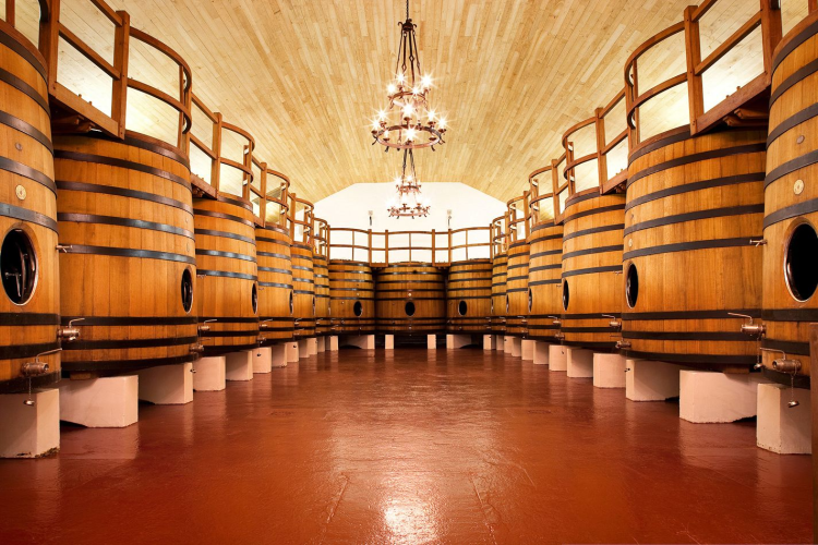 Ophorus Tours - Private Shore Trip From Bordeaux to Médoc and Le Verdon Port
