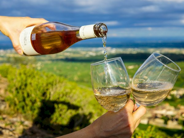 Ophorus Tours - Vouvray Vineyard & Tasting Tour – Private Half-Day from Tours